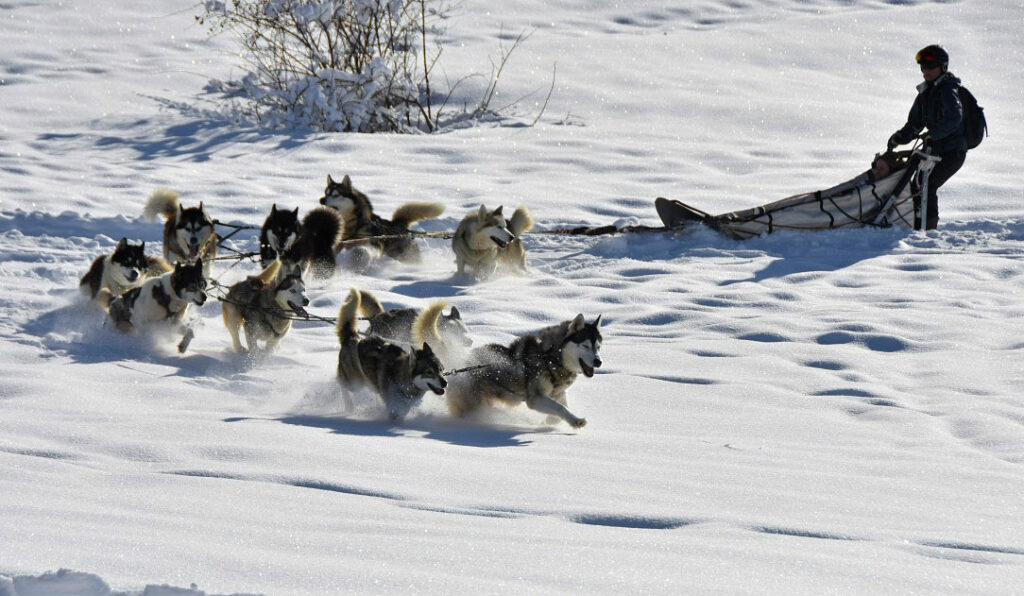 Baptême de chien de traineau à Peyragudes